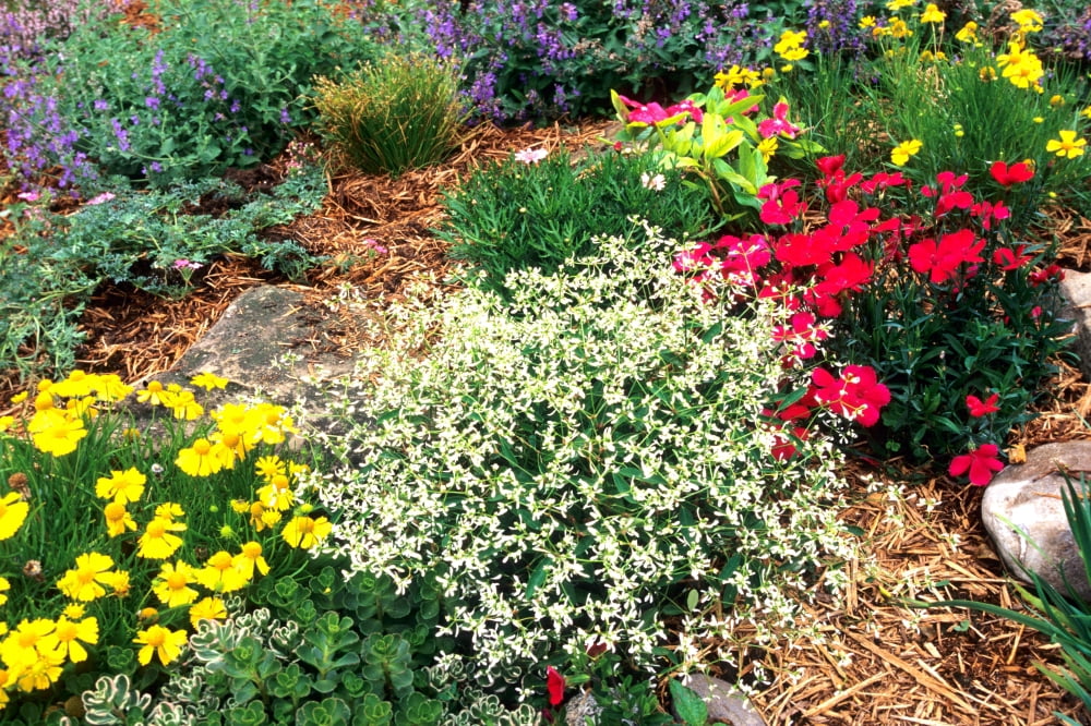 Elevated view of flowers blooming in a garden Marion County Illinois USA Canvas Art - Panoramic Images (18 x 24)