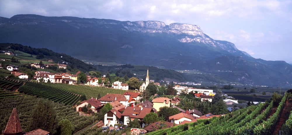 Elevated view of houses and vineyard Missiano Bolzano Province Italy Canvas Art - Panoramic Images (36 x 12)