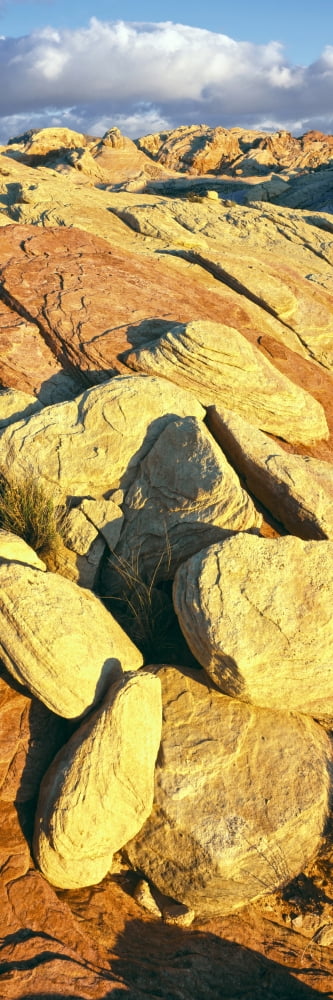 Elevated view of rock formations Valley of Fire State Park Nevada USA Canvas Art - Panoramic Images (27 x 9)
