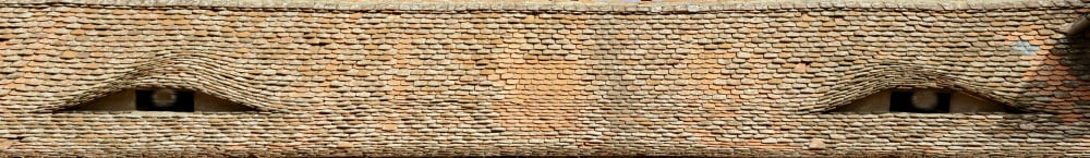 Elevated view of roof of a building Sibiu Transylvania Romania Canvas Art - Panoramic Images (63 x 9)