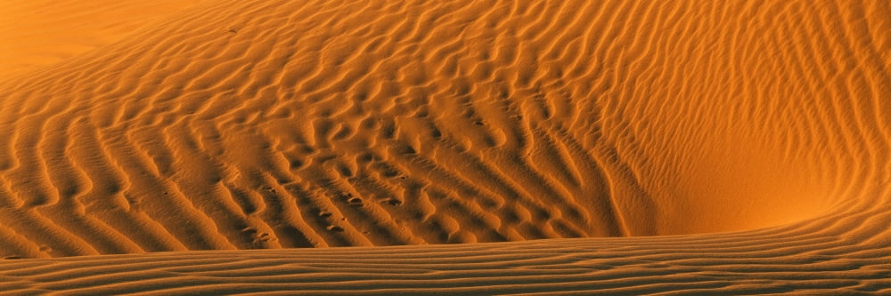 Elevated view of sand dunes in a desert Mojave Desert California USA Canvas Art - Panoramic Images (12 x 36)