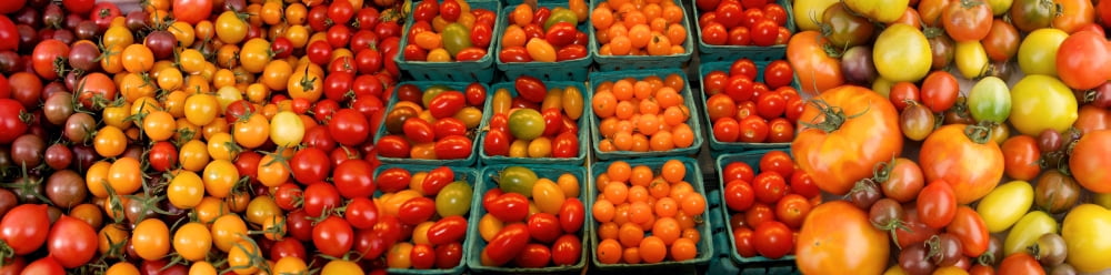 Elevated view of tomatoes at market stall Canvas Art - Panoramic Images (27 x 9)