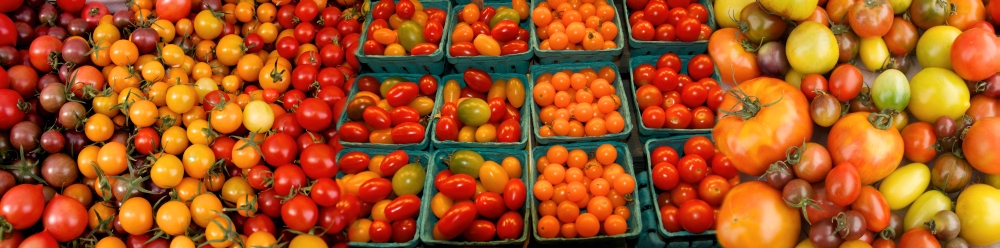 Elevated view of tomatoes at market stall Canvas Art - Panoramic Images (36 x 12)
