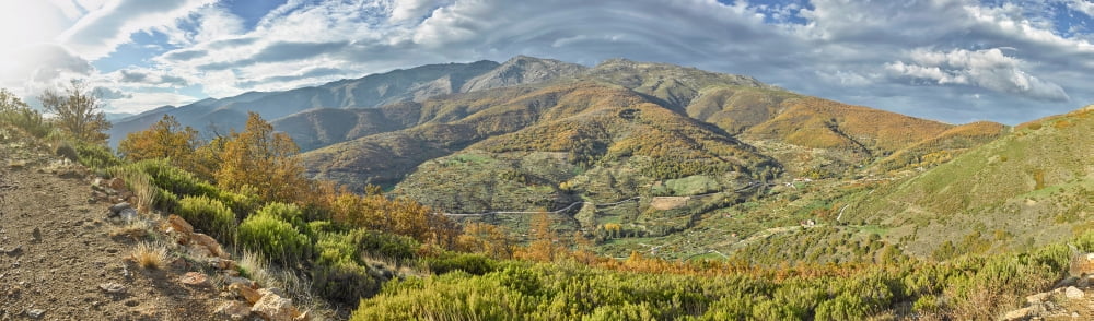 Elevated view of trees in a valley from Tornavacas Valle Del Jerte Caceres Caceres Province Extremadura Spain Canvas Art - Panoramic Images (5 x 15)