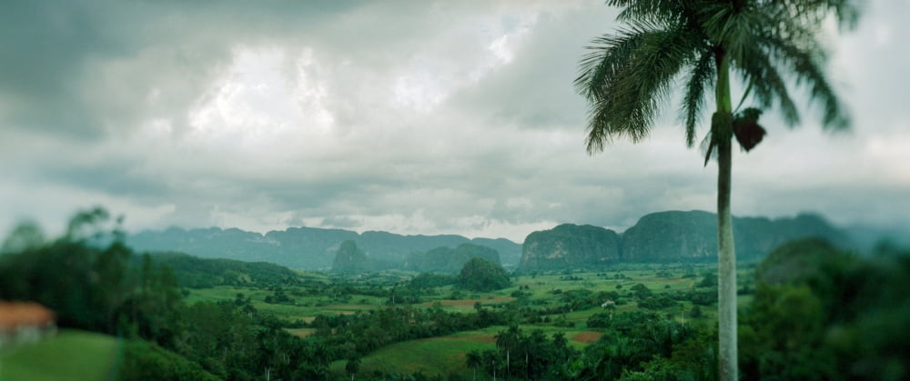 Elevated view of trees in valley landscape Vinales Valley Vinales Cuba Canvas Art - Panoramic Images (6 x 15)