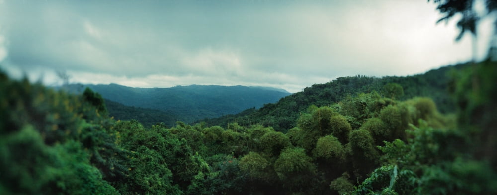 Elevated view of trees in valley landscape Vinales Valley Vinales Cuba Canvas Art - Panoramic Images (6 x 15)