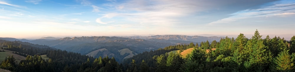 Elevated view of trees on a mountain Marin County California USA Canvas Art - Panoramic Images (5 x 20)