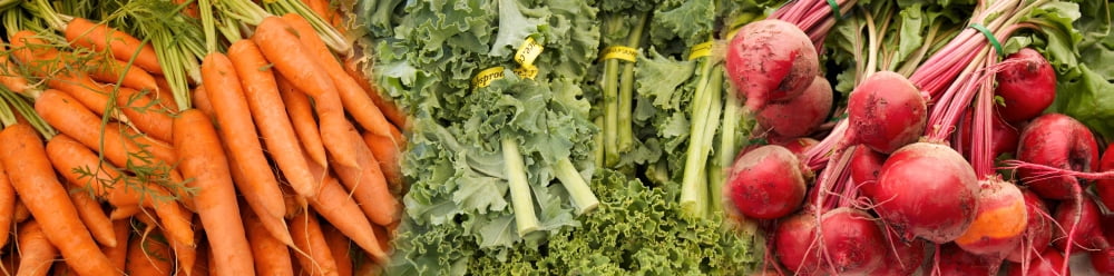 Elevated view of vegetables at market Canvas Art - Panoramic Images (36 x 12)