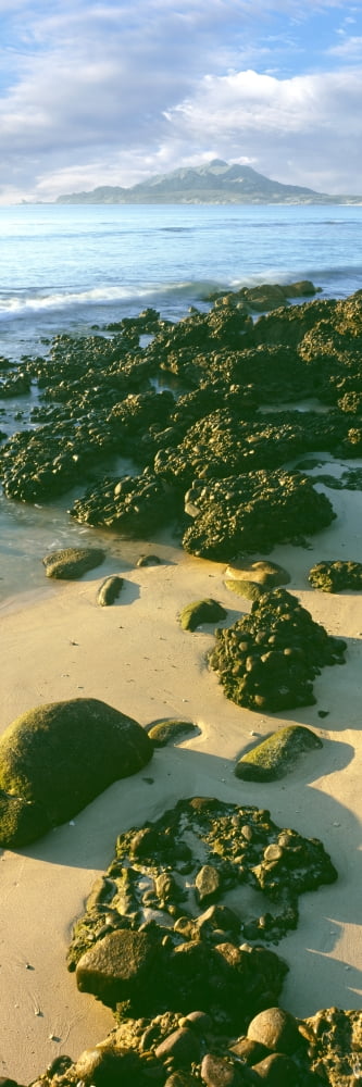 Elevated view of rocks on the beach Sea of Cortez Cabo Pulmo National Marine Park Cabo Pulmo Baja California Mexico Canvas Art - Panoramic Images (36 x 12)