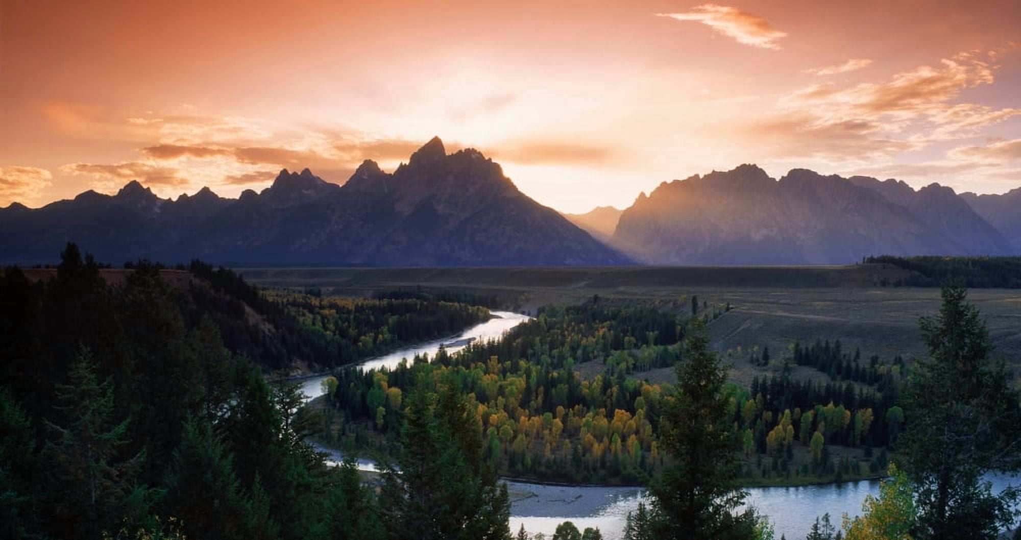 Elevated view of trees with mountain in the background Oxbow Bend Snake River Grand Teton National Park Wyoming USA Canvas Art - Panoramic Images (12 x 24)