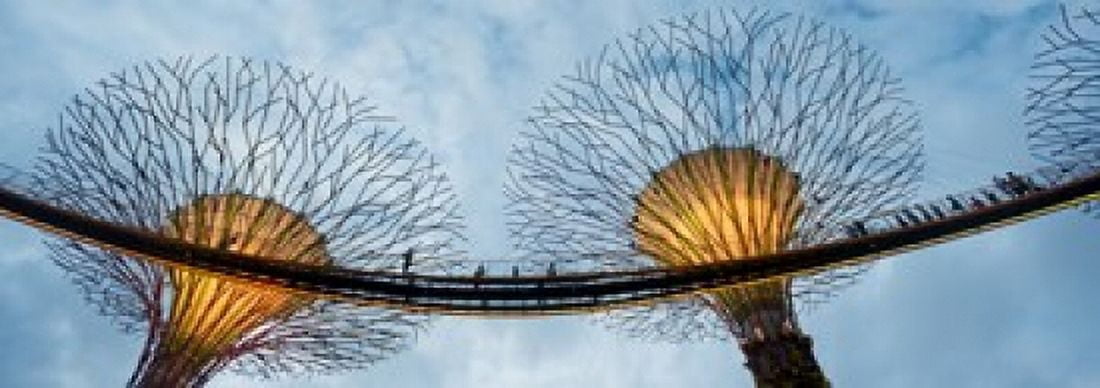 Elevated walkway among Supertrees Gardens by the Bay Singapore Canvas Art - Panoramic Images (36 x 13)