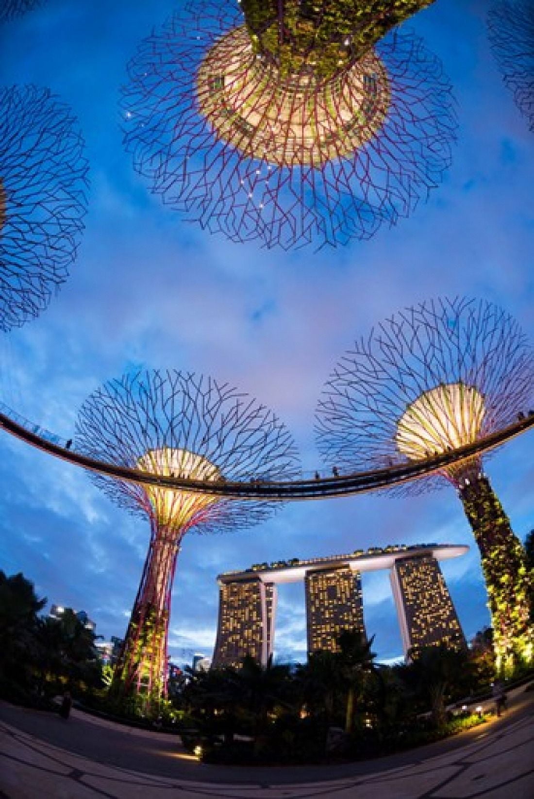 Elevated walkway at Gardens by the Bay Singapore Canvas Art - Panoramic Images (24 x 36)