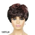 thumbnail image 1 of Elf Cut Wig Short Hair Wig with Bangs Mixed Color Highlights Fluffy Synthetic Wig Replacement Wig for Women Halloween Costume Wig, 1 of 1