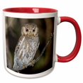 thumbnail image 1 of 3drose, Elf Owl, Madera Canyon, Arizona - Na02 Rnu0565 - Rolf Nussbaumer, 11oz Two-tone Red Mug, 1 of 6