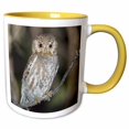thumbnail image 1 of 3drose, Elf Owl, Madera Canyon, Arizona - Na02 Rnu0565 - Rolf Nussbaumer, 11oz Two-tone Yellow Mug, 1 of 6