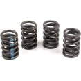 thumbnail image 1 of Elgin RV9912XS Valve Spring Ford 289 302 351 390 400 429 460 HP VALVE SPRINGS, 1 of 1