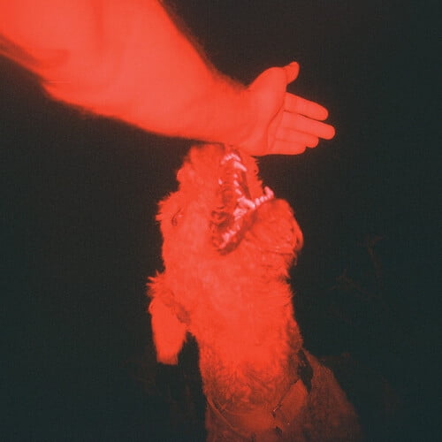 Winter,Eli - A Trick of the Light - Music & Performance - Vinyl