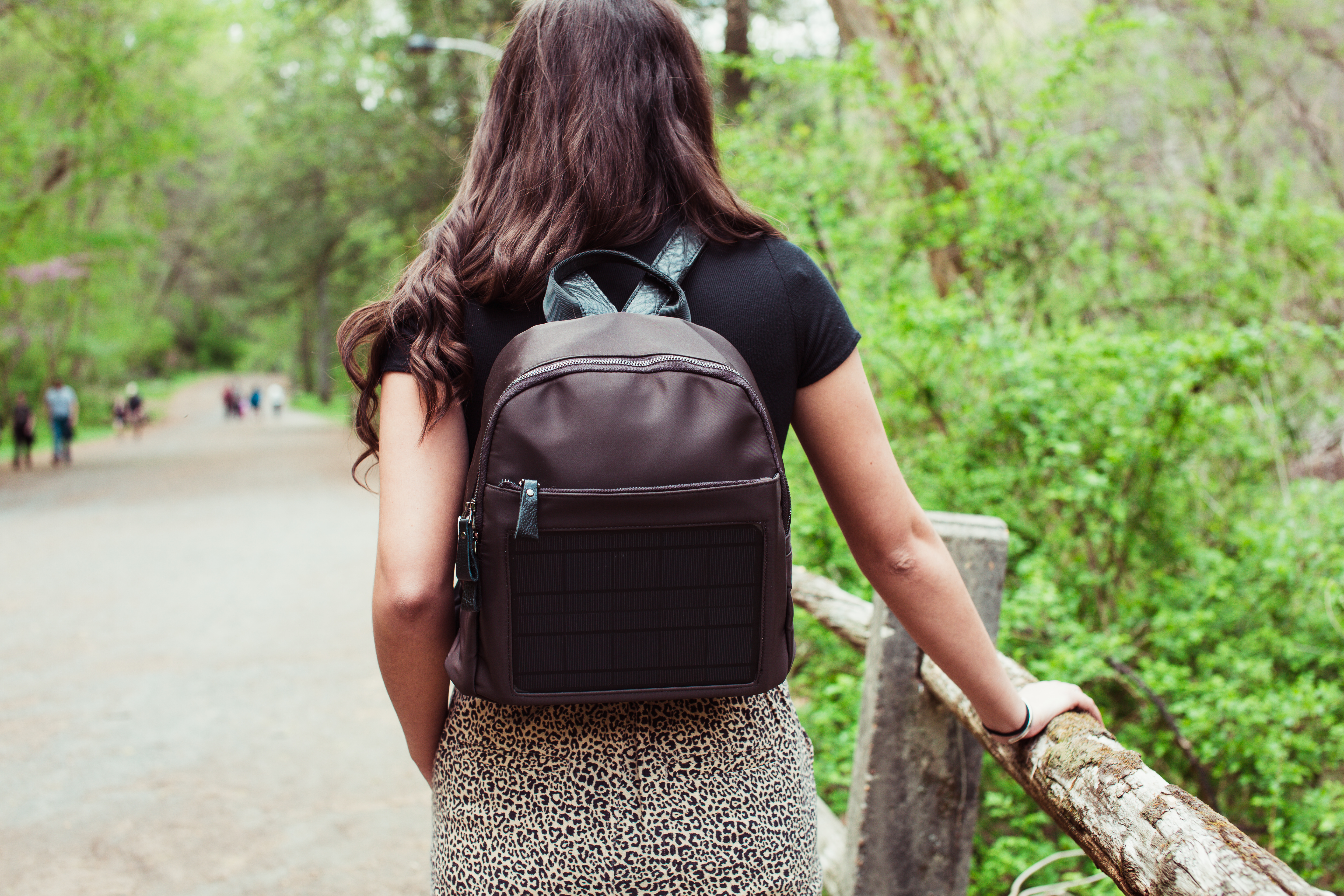 Eliana Solar Backpack with Power Bank, Brown - image 1 of 5