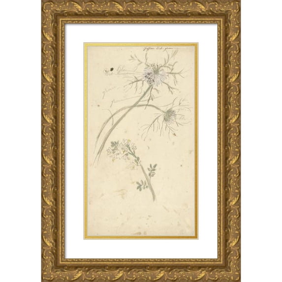 Elias van Nijmegen 12x18 Gold Ornate Wood Frame and Double Matted Museum Art Print Titled - Miss in 'T Groen (1677 - 1755)