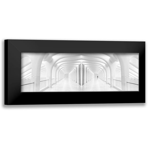 Eliash, Tomer 14x7 Black Modern Framed Museum Art Print Titled - Rib Cage