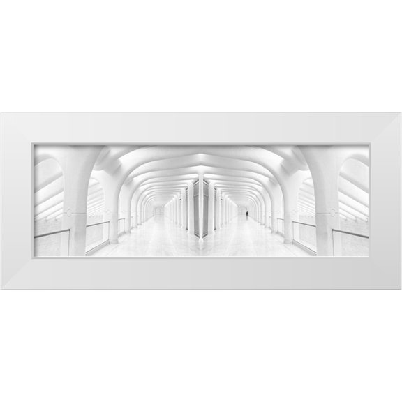 Eliash, Tomer 14x7 White Modern Wood Framed Museum Art Print Titled - Rib Cage