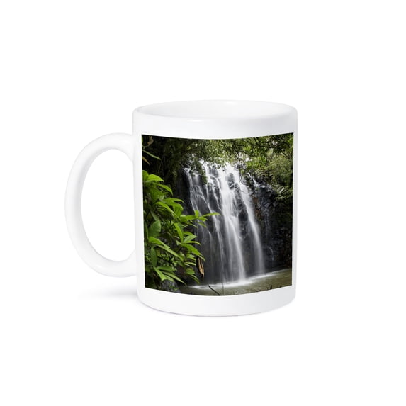 3drose, Elinjaa Falls, Atherton Tableland, Queensland, Australia-au01 Dwa2956 - David Wall, 11oz Mug