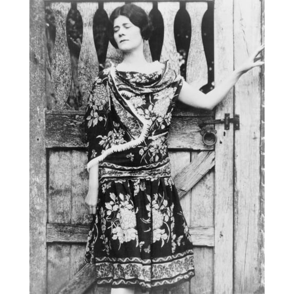 Elinor Wylie History Poster Print