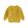 thumbnail image 1 of Elippeo Baby Girls Knitted Sweater 3M 6M 9M 12M 18M 24M 3Y 4Y 5Y Floral Embroidery Casual Warm Long Sleeve Pullovers Infant Knitwear for Toddler, 1 of 10