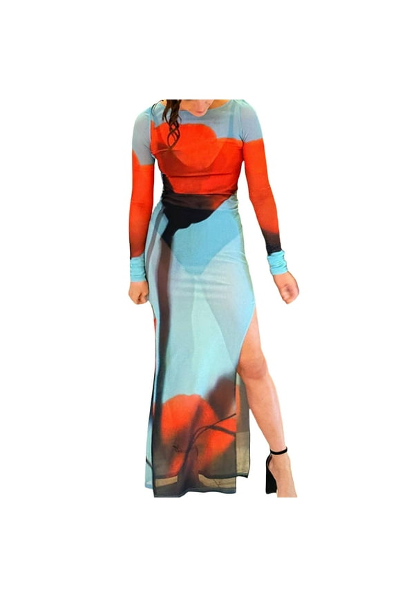Women’s Boydcon Long Dress Sheer Mesh Long Sleeve Boat Neck Floral Print Midi Dress Side Split Dress