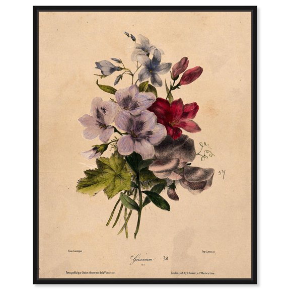Elisa's Blooms Canvas Vintage Botanical by Art Remedy, Black Frame, 36 x 45
