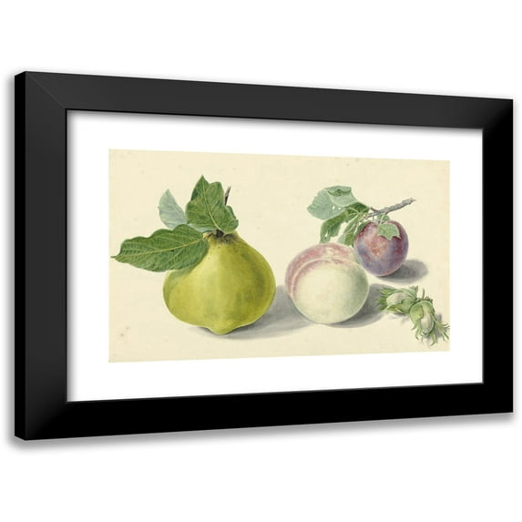 Elisabeth Geertruida van de Kasteele 18x13 Black Modern Framed Museum Art Print Titled - A Pear, Peach, Plum and Nuts, After Michiel Van Huysum (1818 - 1853)