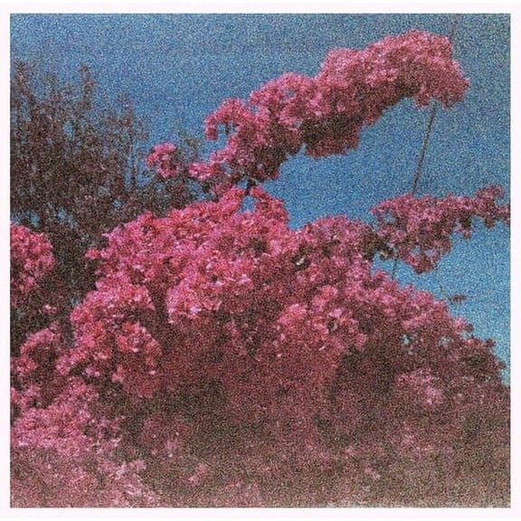 Elisabeth Klinck - Picture A Frame - Music & Performance - Vinyl