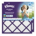 thumbnail image 1 of Elite Allergen Air Filter 20X20X1 Inches- 13 MERV RATING (2-Pack), 1 of 9