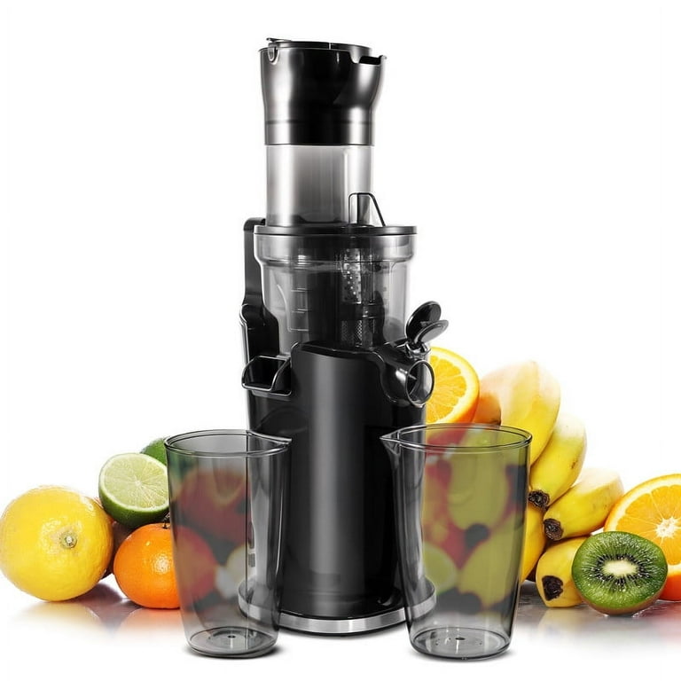 Elite Cuisine EJX751 Dynamic Masticating Slow Juicer - Walmart.com