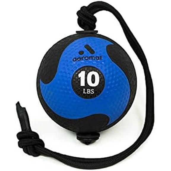 Elite Power 39" Rope 10 lb Medicine Balls for Exercise - 9" dia Workout Ball, Weighted Balls for Exercise, Weight Ball, Wall Balls for Exercise, Color-Coded Medicine Ball with Rope (Blue)