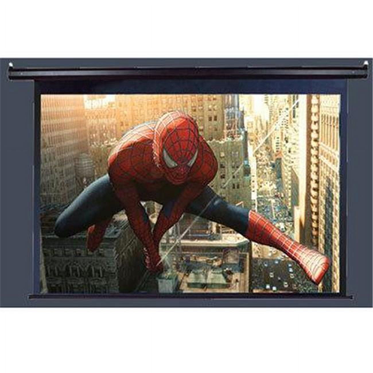 Elite Screens ELECTRIC100H 100" 49X87.2 0.672916666666667 Television