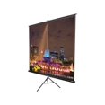 thumbnail image 1 of Elite Tripod Series T100UWV1 - Projection screen with tripod - 100" (100 in) - 4:3 - Matte White - black, 1 of 4