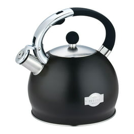 Copco 2.3-quart Virtue Brushed Stainless Steel Tea Kettle 