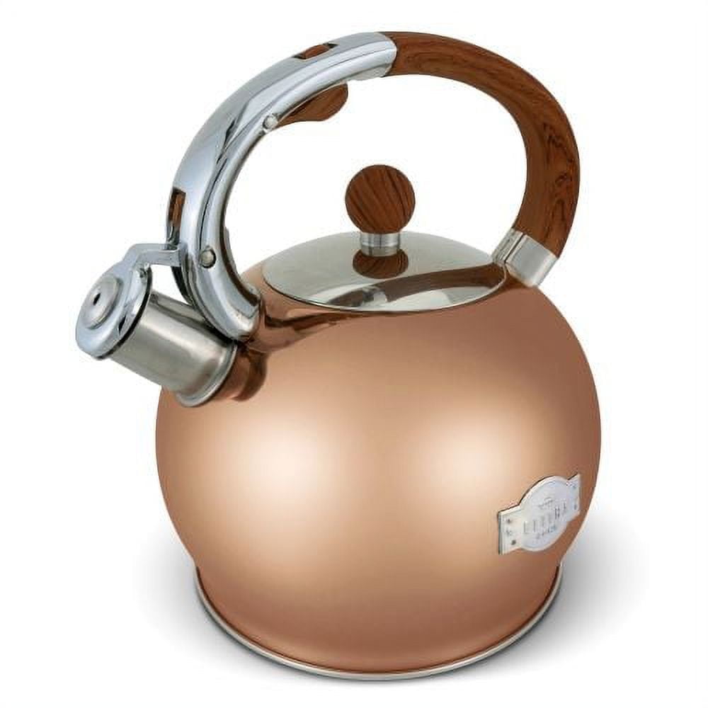 What is the Best Tea Kettle to Buy?