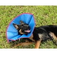thumbnail image 1 of ElizaSoft Recovery Flexible Elizabethan Dog Collars, 1 of 4