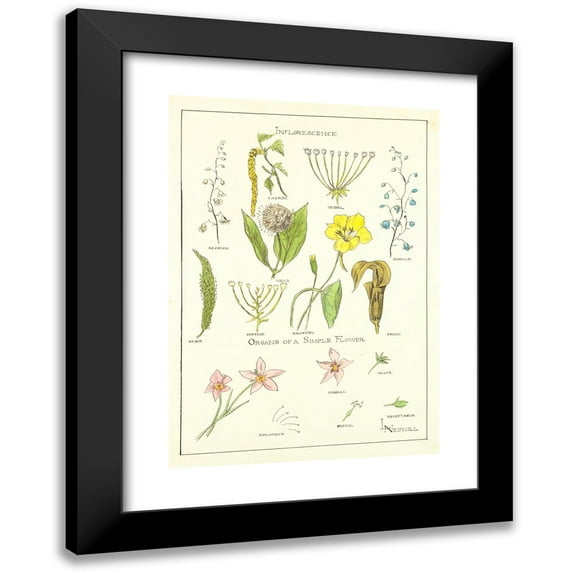Elizabeth A. Nedwill 18x24 Black Modern Framed Museum Art Print Titled - Portfolio, Historic Ornament Pl 37 (Ca 1900)