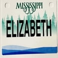 thumbnail image 1 of Elizabeth Mini Bike Plate Add On Accessory, 1 of 1