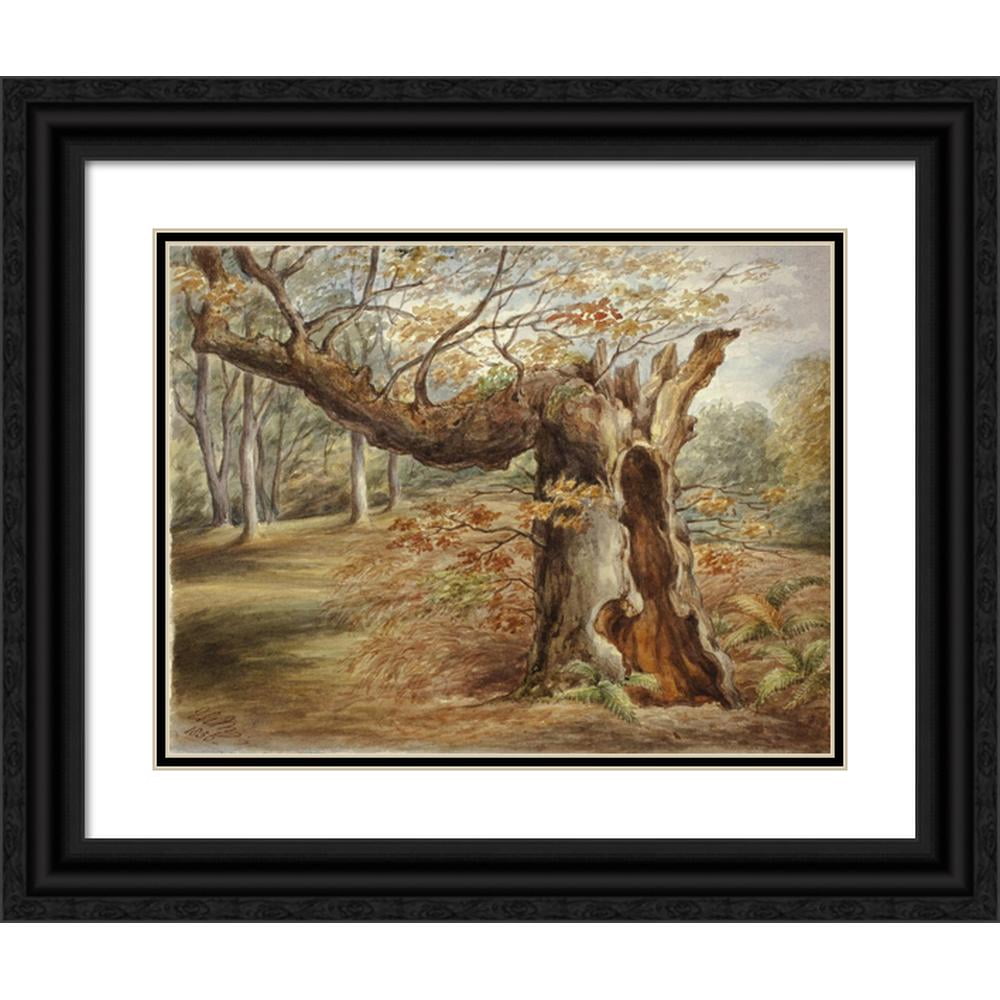 ブラジリエ　【秘密の庭】　lithograph Elizabeth Murray 24x19 Black Modern Framed Museum Art Print Titled