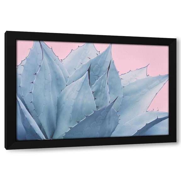 Elizabeth Urquhart 14x11 Black Modern Wood Framed Wall Art Titled - Pink Crush V