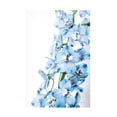 thumbnail image 1 of Elizabeth Urquhart 'Freshly Picked Delphinium III' Canvas Art, 1 of 3