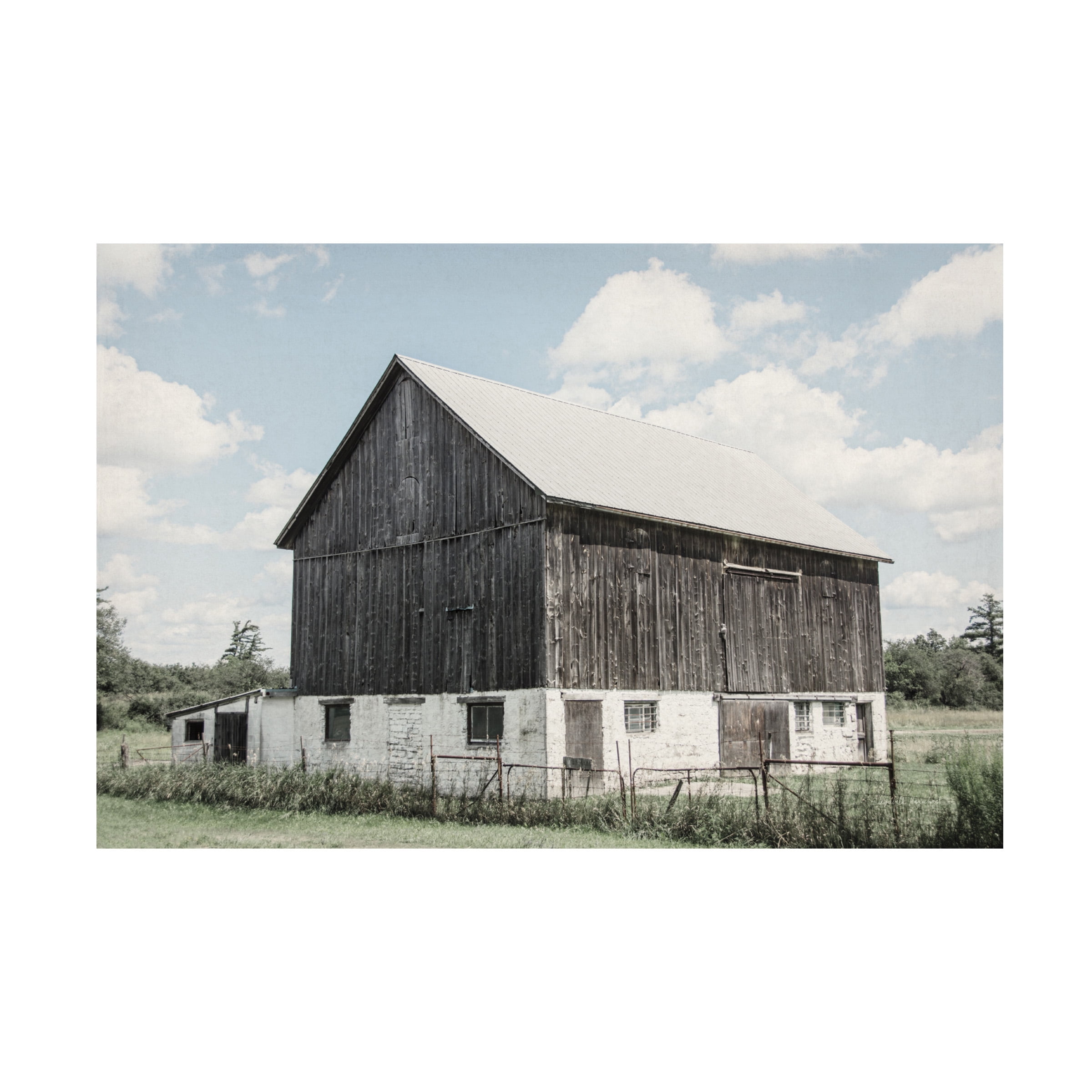 Elizabeth Urquhart 'Weathered IV' Canvas Art