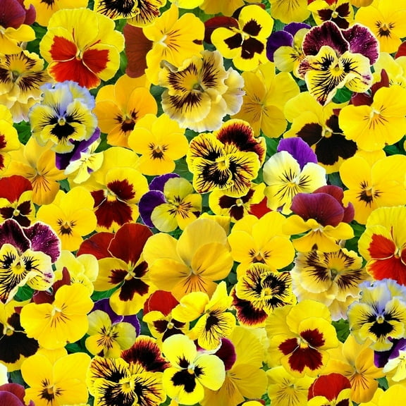 Elizabeth's Studio Pansies/Yellow Floral Digital Fabric 100% Cotton Fabric sold by the yard