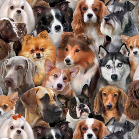 Elizabeth's Studio Petpourri Dog Faces Black 100% Cotton Fabric sold by the yard