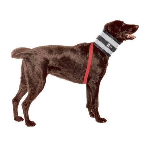 Bite not collar walmart deals