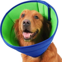 Elizabethan Dog Cone Collars Lightweight Flexible Plastic Protect Vet Healing Medium 8 1 2 14 1 2 Clear Walmart